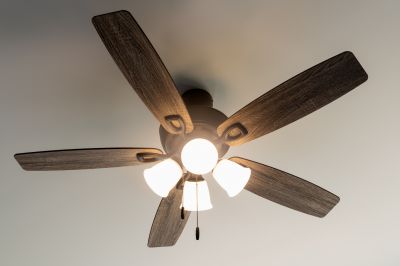Ceiling Fan Replacement in Overland Park, KS